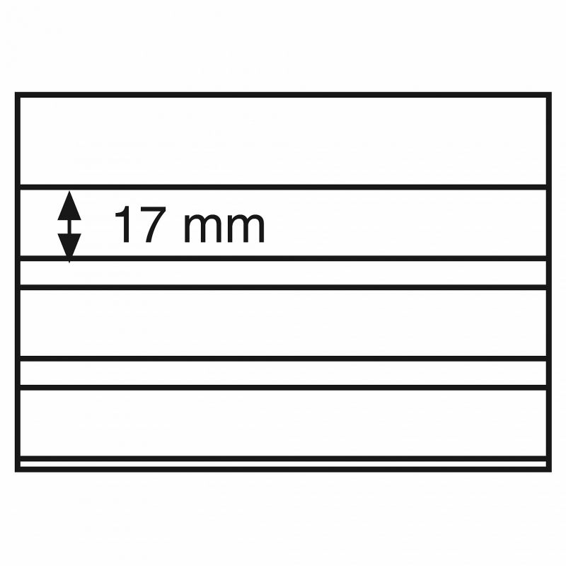 Cartes de classement avec feuilles de protection (x100) - Leuchtturm